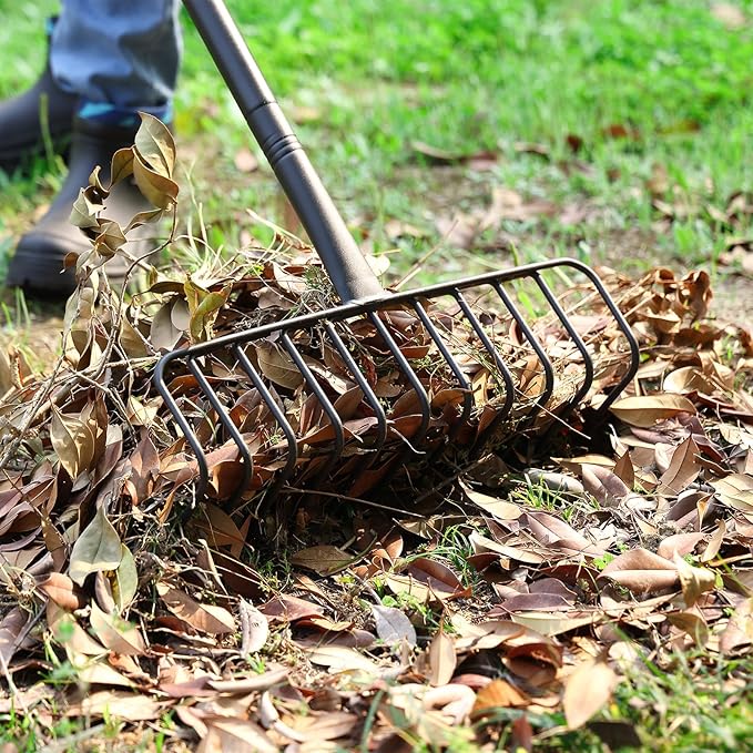 Thatch Rake, 16-Inch Heavy Duty Metal Garden Rake with 56-Inch Handle & 11 Steel Tines – Lawn Thatch Removal Tool for Leaves, Mulch, Pine Needles, Grass & Yard Debris