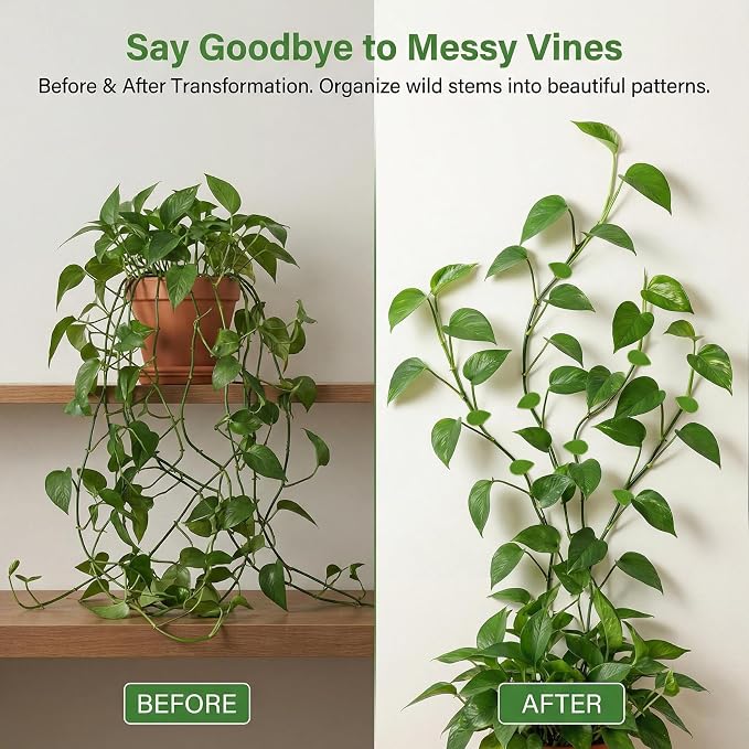 RAINFLOW 90 Pcs Plant Wall Clips - Plant Climbing Wall Fixture Clips with 108 Adhesive Sticker, Fixer Invisible Vines Fixing Clip for Pothos Vine Climber Support, Indoor Outdoor Decoration