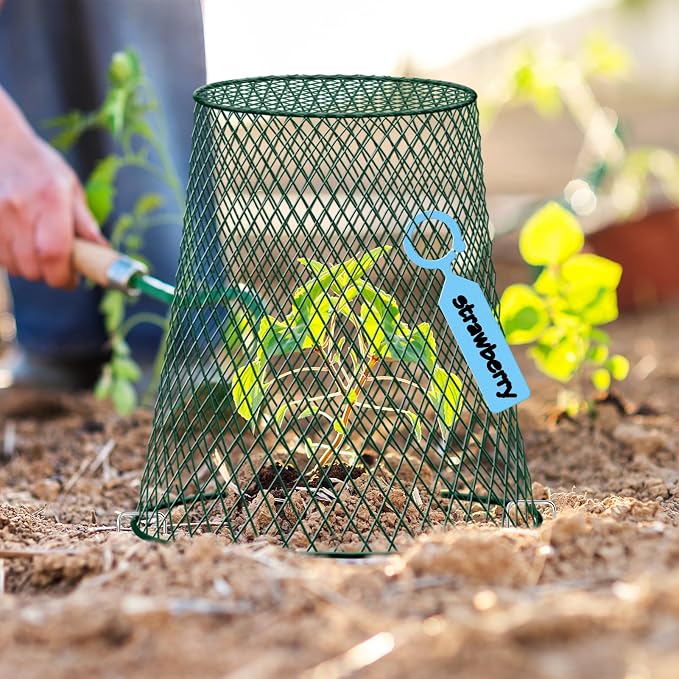 5 Packs 9"x9" Garden Cloches for Plants, Plant Protectors from Animals, Plant Cages for Outdoor Plants, Plant Covers from Animals,Chicken Wire Cloche with Stakes & Labels for Protect Plants,Vegetables
