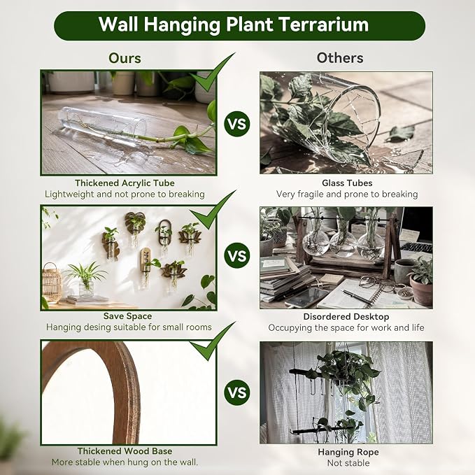 Artilady Plant Propagation Station 2 Pack Wall Hanging Plant Terrarium Holder with Test Tube Wood Window Planter Indoor Decor for Living Room Bedroom Kitchen (Oval)