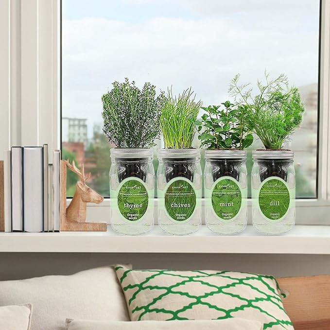Mint, Chives, Thyme & Dill Mason Jar Herb Garden Kit, Fresh Savory Herb Collection, 4 Pack Indoor Hydroponic Growing Kit