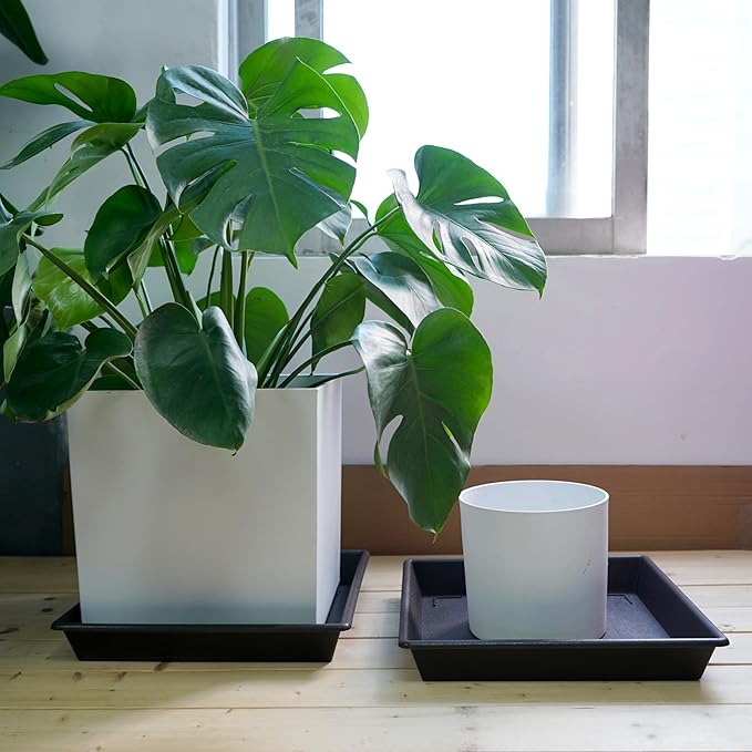 NIMYAU Square Plant Saucer 20 Inch 2 Pack, Large Plant Trays for Pots Heavy Duty Plastic Plant Saucers for Indoors Outdoors, Flower Pot No Holes Plant Lover Gardening Gifts