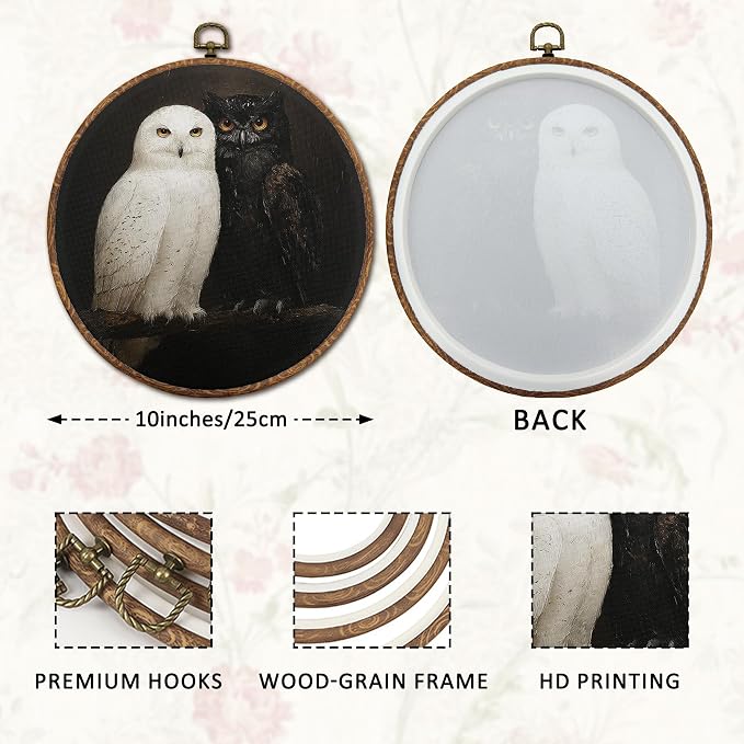 DOFQZ Vintage Black and White Owl Round Wall Art Decor, Dark Academia Gothic Owl Framed Wall Art, Moody Animal Bird Canvas Wall Hanging Decor for Home Bedroom Living Room, 10x10