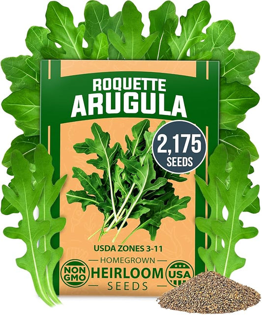 HOME GROWN Arugula Roquette Seeds 2,175+ Heirloom Non-GMO Seeds for Planting, High Germination, Fast Growing Peppery Salad Greens, Indoor Outdoor Hydroponic Garden, Microgreens (Eruca vesicaria)