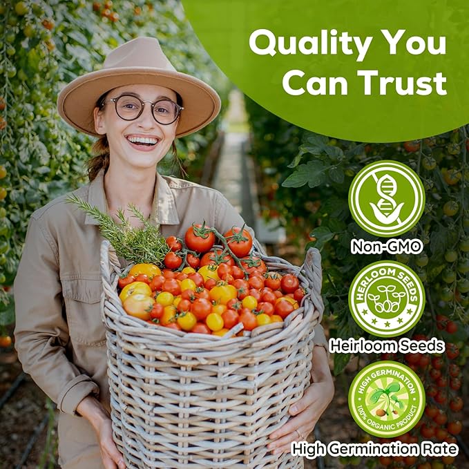 10 Heirloom Tomato Seeds - Open Pollinated Seeds for Planting Home Garden - Beefsteak, Roma, San Marzano, Cherokee Purple, Cherry Tomato & More