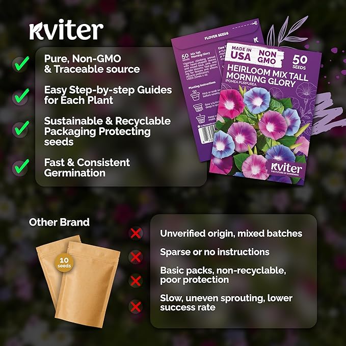 KVITER 50 Tall Morning Glory Seeds Mix (Ipomoea purpurea) – Climbing Morning Glory on the Vine, Annual Flower Seeds for Planting – Heirloom Seed Packets for Home Garden, Fences, Containers Outdoors