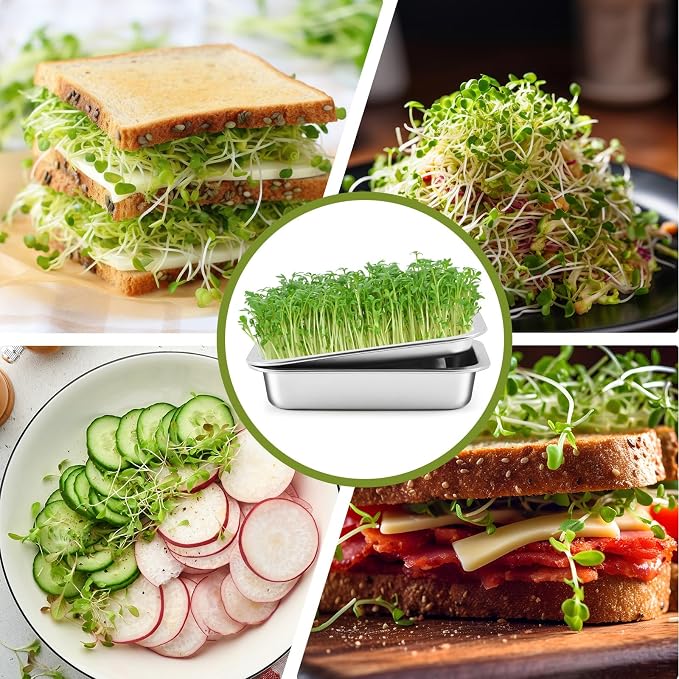 2 Pack Seed Sprouting Kit with Lid, 10.4 Inch Stainless Steel Soilless Culture Germination Tray, Microgreens Growing Kit, Encrypted Mesh Seed Starter Tray for Beans Alfalfa Broccoli Wheat Grass