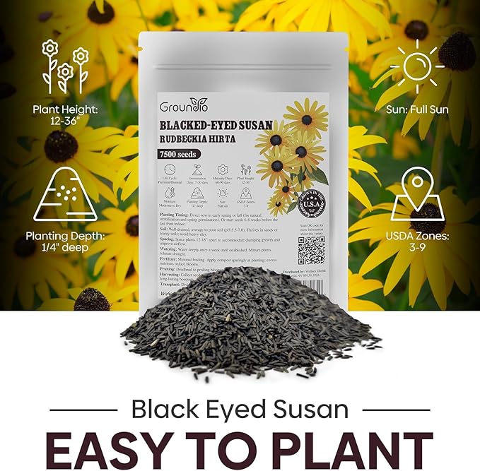 Groundio Black Eyed Susan Seeds, 7500+ Perennial Flower Seed to Plant Indoor & Outdoor, Attract Pollinators | Non-GMO | Heirloom Wildflowers Seeds, USDA Zone 3-9 (Rudbeckia Hirta)