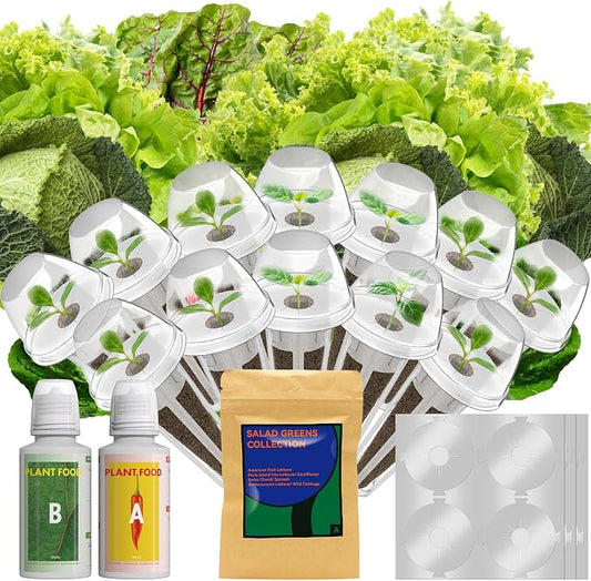 12 Pods Salad Greens Seed Pod Kit for AeroGarden, iDoo, Ahopegarden, Hydroponic Growing System Include 3 Kinds of Lettuce and Cauliflower, Spinach, Cabbage, Chard, 400+ Seeds