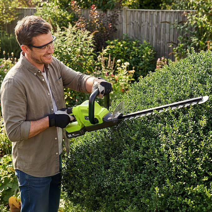 21V Lightweight Cordless Hedge Trimmer & Clippers, 20" Electric Bush Trimmer with 2 X 2.0Ah Batteries, LCD Display, 180° Rotating Handle, Dual-Action Blade, 2/3" Blade Gap for Shrub and Hedge