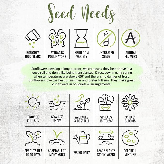 Seed Needs Sunflower Seeds for Planting The Original Crazy Blend | 1 Ounce 15+ Heirloom Varieties Open Pollinated & Untreated | Resealable Bulk Package Multicolored Blooms Flower Seeds