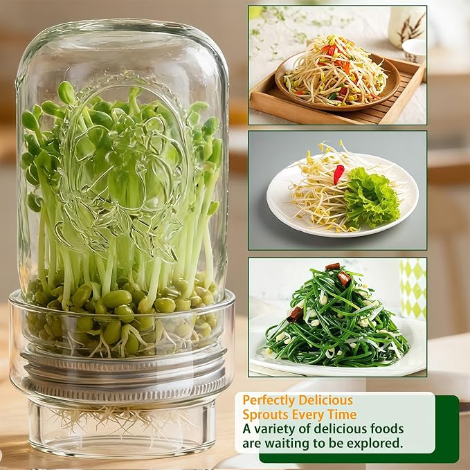 Sprouting Jar Kits, Wide Mouth Quart Mason Jars with Stainless Steel Screen Sprout Lids, Seed Sprouter Setfor Bean Alfalfa Vertical Vegetable