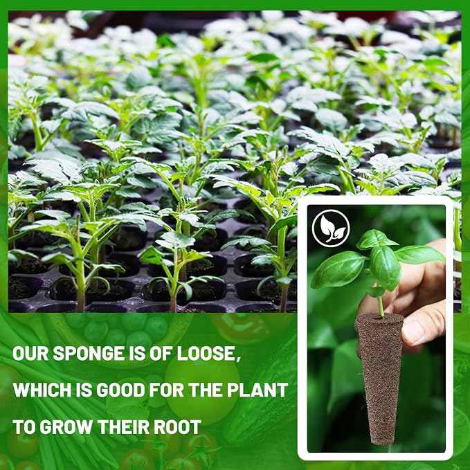200 Pcs Seed Pods Replacement, Sponges Seed Growth Kit, Grow Sponges for Greenhouses & Germination Equipment, Starter for Indoor Garden System (Black)