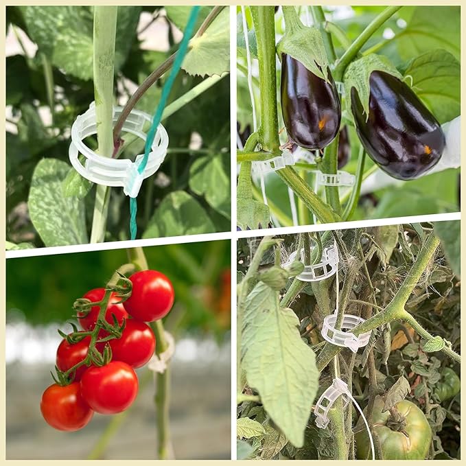 Dalzom® 300Pcs Tomato Clips, Plastic Trellis Clips Plant Support Clips, Plant Clips for Support, Grape Vine, Tomato Vine, Vegetables Plants, Garden Clips to Grow Upright Makes Plants Healthier (Green)