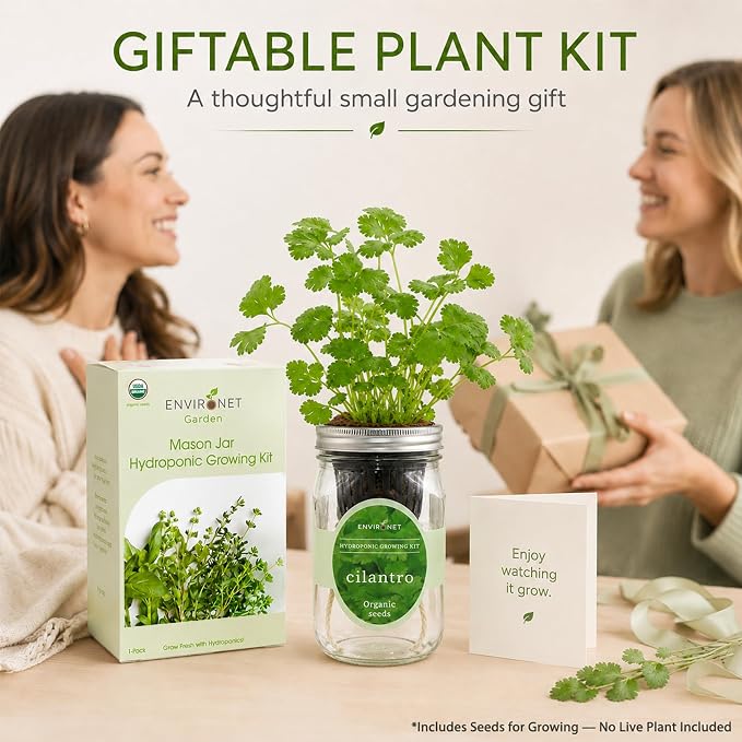Hydroponic Herb Growing Kit, Self-Watering Mason Jar Window Herb Garden Starter Kit Indoor, Grow Your Own Herbs from Organic Seeds (Cilantro)