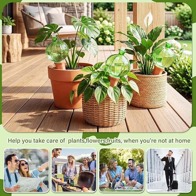 Teenyyou 3 Set Glass Self Watering Globes with Terracotta Self Watering Spike 12 oz Large Glass Waterer Bulbs Automatic Water Planter Insert Plant Water Device for Indoor Outdoor Plant(Green,Cactus)