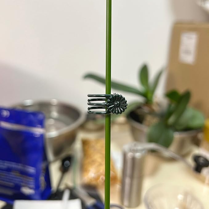 Orchid Clips for Plants Support (100, Green) for Small - Middle Climbing Plants Vine Plants & Single Stem Plants