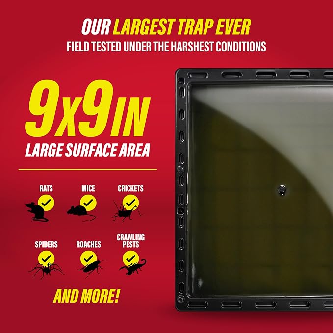 Catchmaster Jumbo Rat & Mouse Glue Traps 6Pk, Large Bulk Glue Board Rat & Mouse Traps Indoor for Home, Adhesive Plastic Tray for Snakes, Mice, & Spiders, Pest Control for House & Garage