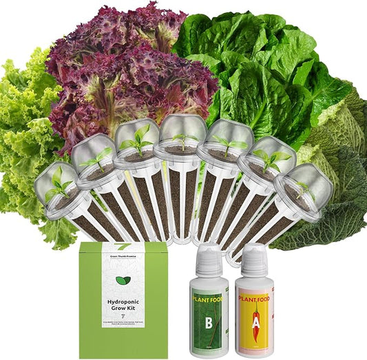 inbloom Salad Romaine Lettuce Seed Pod Kit for AeroGarden, Ahopegarden Hydroponics Growing System, 7-Pods (350+ Seeds, Include American Fast, Parris Island, Buttercrunch, Red Romaine Lettuce)