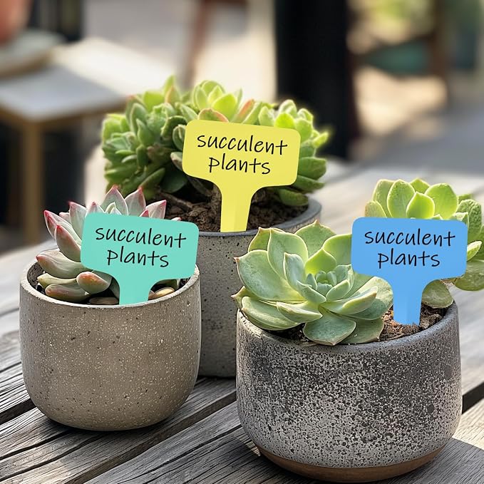 Plant Labels 1000 Pcs Yuanling T-Type Plastic Garden Tags Waterproof Plant Sign Stakes Nursery Garden Makers for Seedlings Flower Vegetables Herb Potted Belt Permanet Marker Pen (5 Colors)