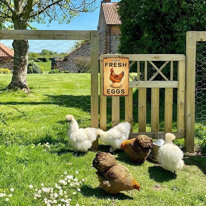 Funny Coop Sign Farm Fresh Eggs Chicken Metal Tin Sign Wall Decor for Farmhouse Home Kitchen Bar Yard Porch 12×8 Inch