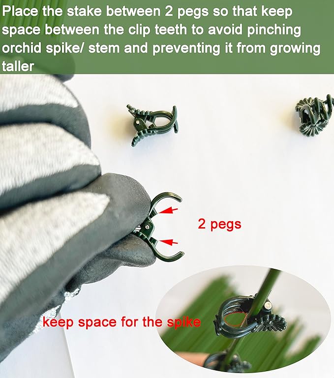 40-PCs Orchid Clips for Plants Support - Dark Green, for Small - Middle Climbing Plants Vine Plants & Single Stem Plants