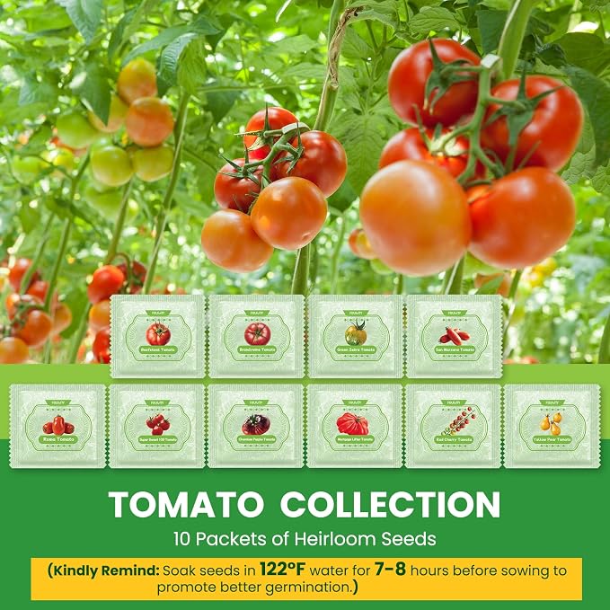 10 Pack Tomato Seeds Variety Pack -5000+ Garden Tomato Seeds for Planting Outdoors & Indoor Home Gardening Gift, Roma, Chreey Tomatoes & More