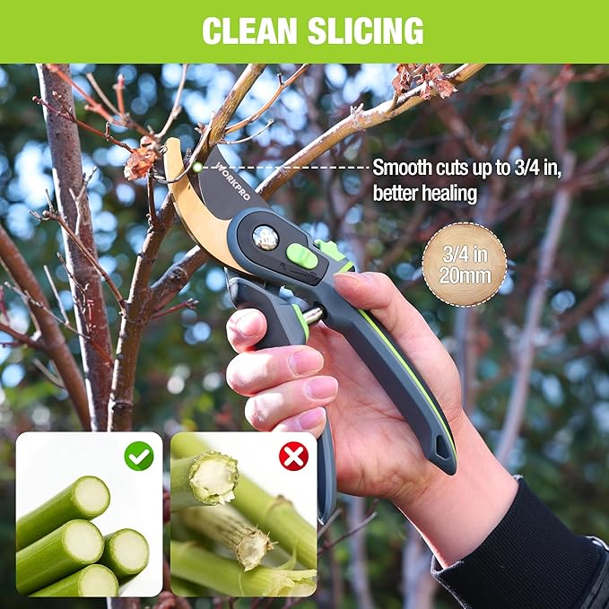 WORKPRO Bypass Pruning Shears, 9" Professional Garden Shears with Adjustable Handle Span, Premium Steel Garden Clippers, Titanium Coated Garden Tool, Cuts Up to 3/4 Inch