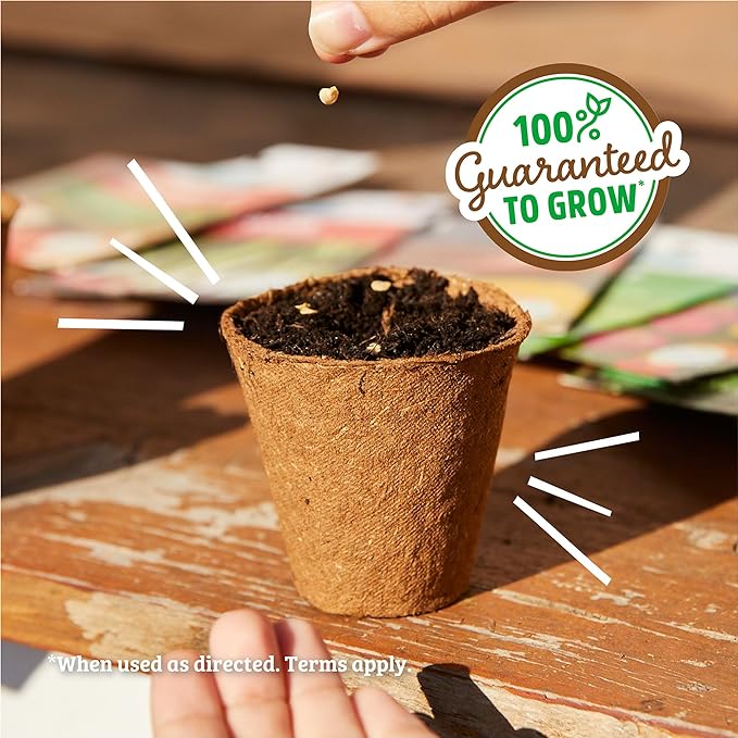 Back to The Roots Organic Flowers Seeds Variety (5-Pack)