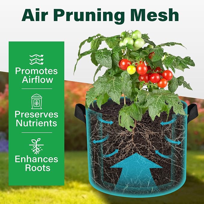 LotFancy 5-Pack 20 Gallon Grow Bags, 300G Thickened Nonwoven Fabric Pots with Reinforced Handles, Heavy Duty Aeration Planter Bags for Vegetables Flowers Fruits, Black