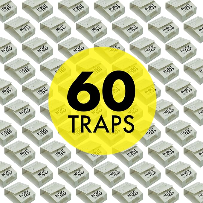 S&T INC. Insect Traps, 60 Count, Glue Traps for Brown Recluse, Hobo Spiders, Black Widows, Use in Home, Basement or Garage, or Utility Rooms for Pest Control