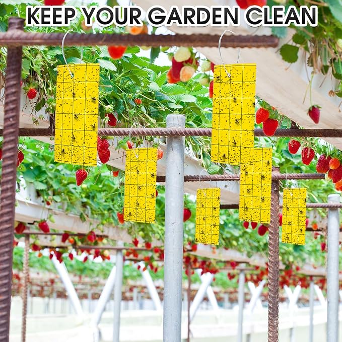 Qualirey 200 Sticky Trap for Gnats 3 x 5'' Dual Side Sticky Fruit Fly Trap with Tie Plant for Flying Insect Fungus Bugs Flying Catcher for Indoor (Yellow)