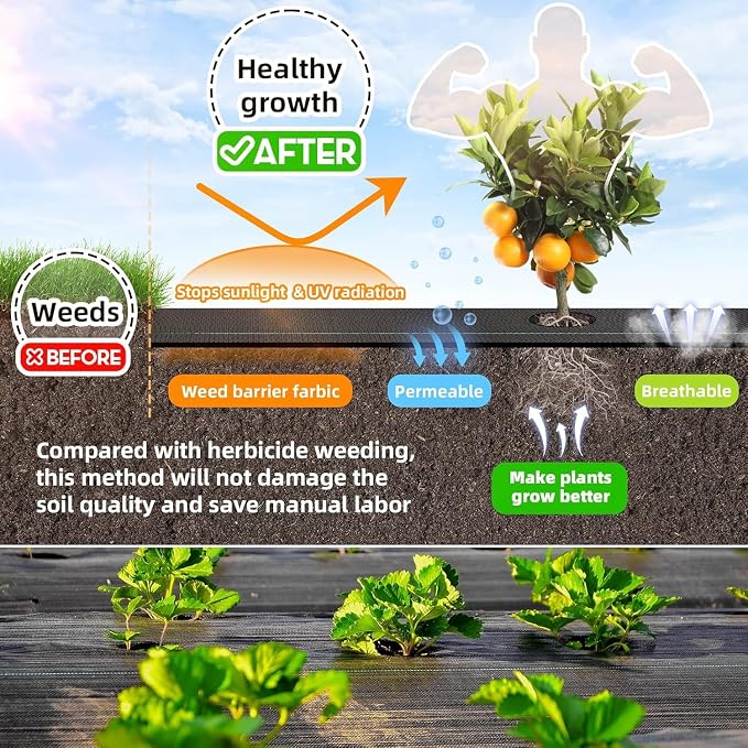 LAVEVE 3FT x 50FT Weed Barrier Landscape Fabric Heavy Duty, 3.2oz Premium Garden Ground Cover Mat for Weed Control, Gardening, Plant Beds and Farming