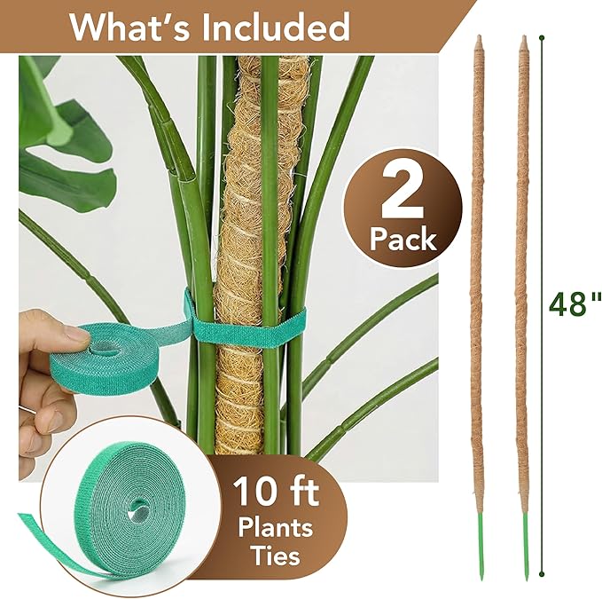 UNCO- Bendable Moss Pole Monstera Plant Support, 48 Inch, 2 Pack, 10 Feet Plant Ties, Moss Poles for Climbing Plants and Monstera Trellis