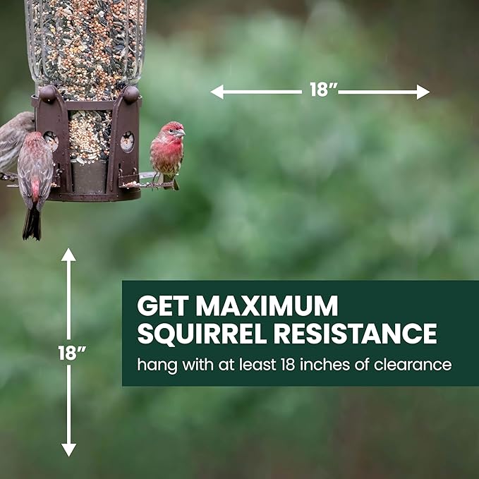 Perky-Pet Squirrel-Be-Gone Max Bird Feeder with (4) Flexport Feeding Stations - Squirrel-Proof Metal Hanging Feeder for Outdoors, Weight-Activated Ladder-Style Perches, 4lb Seed Capacity, 334-1SR