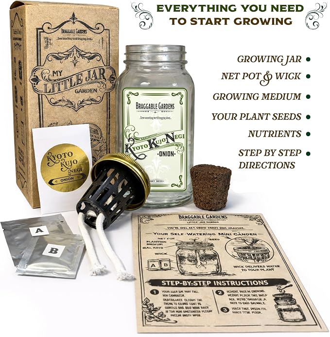 Kyoto Kujo Negi Japanese Green Onion Indoor Garden Kit – Mason Jar Hydroponic Grow Kit – Windowsill Countertop Scallion Garden – Grow Fresh Green Onions Indoors