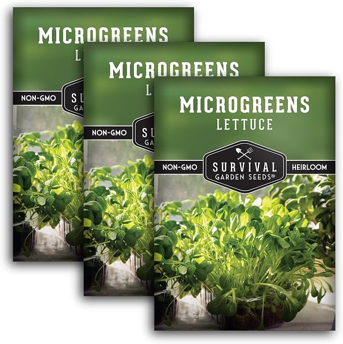 Lettuce Microgreen Seeds for Planting - Non-GMO Heirloom Lettuce Seeds to Grow Crisp, Tender Microgreens - Indoors or Hydroponic - Fast Germination, Mild Flavor - Survival Garden Seeds (3 Packs)