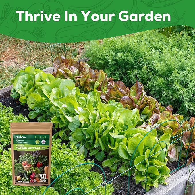 30 Heirloom Vegetable Seeds for Planting, 12,000+ Garden Seeds - Vegetable, Herb, Fruit Seeds - Survival Seed Vault with Tomato, Basil, Lettuce, Bean, Pepper, Squash and More