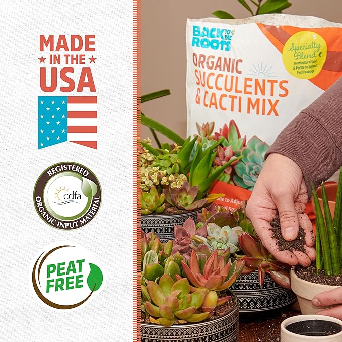 Back to the Roots 100% Organic Succulent & Cacti Mix (Value 12 Quart) | Made in the USA