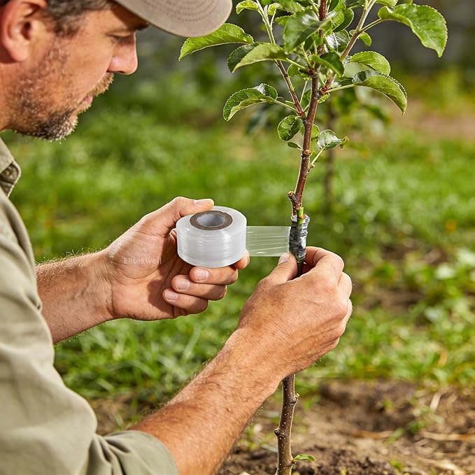 Plant Grafting Tape 4 Rolls Clear Stretchable Film for Fruit Tree