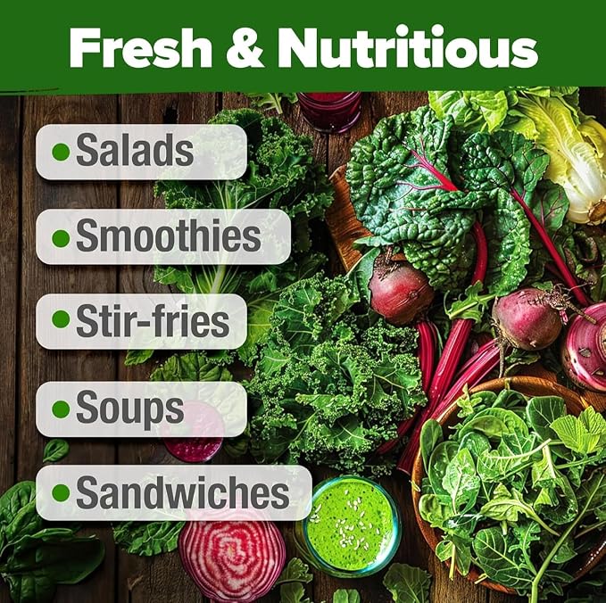 OME Grown 20 Variety Lettuce Seeds 21,500+ Bulk Pack Heirloom Non-GMO, High Germination, Romaine,Butterhead, Spinach, Kale, Iceberg, Continuous Harvest,Indoor Outdoor Hydroponic Garden