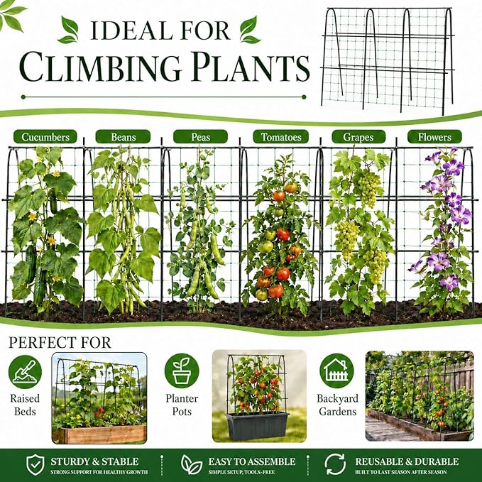 FOLLOOK Cucumber Trellis for Raised Garden Bed, Rustproof Metal Garden Arch Trellis for Climbing Plants Support Outdoor Fruit Grape Vine Vegetable Tomato Bean Pea Trellis, 63x48inch, Black
