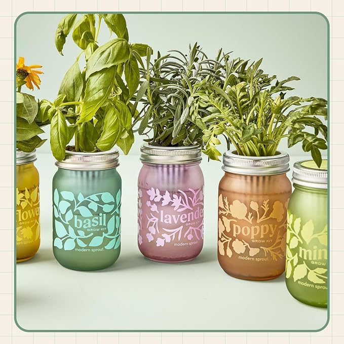 Modern Sprout Mason Garden Jar - Self-Watering Hydroponics Growing System Kit with Organic Herb Seeds - Jar Planter for Indoor Herb Garden - Seed Starter Kit -Home Decor & Gifting -Mint+Rosemary+Poppy