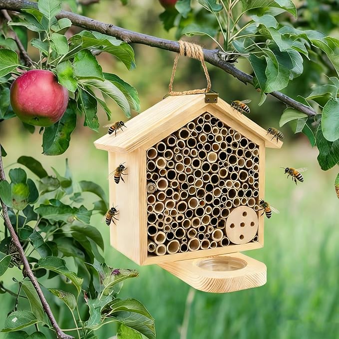 Mason Bee House with Feeding Trays - Natural Pine Wood Hanging Bee Hive,Insect Hotel for Garden Backyard, Outdoor Garden Decoration Attracts Bees, Butterflies, Ladybugs Pollinators