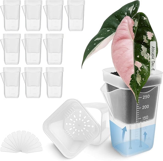 12 Pack 2.5" Small Self Watering Pots for Indoor Plants, Mini Clear Plastic Planters, Semi-Hydro, Propagation, Cuttings, Seedlings, Hoya, African Violets, Alocasia, LECA, PON,12 Plant Label