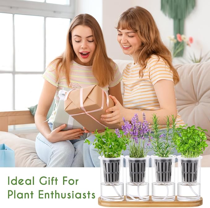 Teenyyou 8 Pcs Hydroponic Herb Planter Growing Kit Self Watering Glass Vase with Wooden Stand Herb Garden Starter Kit for Propagating Hydroponic Plants Centerpiece Office Home Garden Decor