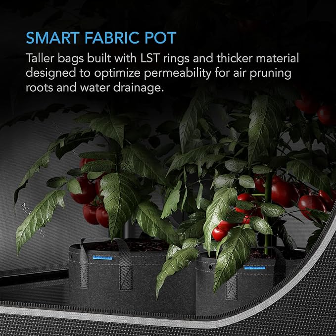 AC Infinity Heavy Duty Fabric Pots, 3 Gallon Aeration Reusable Grow Bags 5-Pack with 500G Thick Nonwoven Fabric and Multi-Purpose Rings, for Low Stress Plant Training Fruits, Vegetables, and Flowers