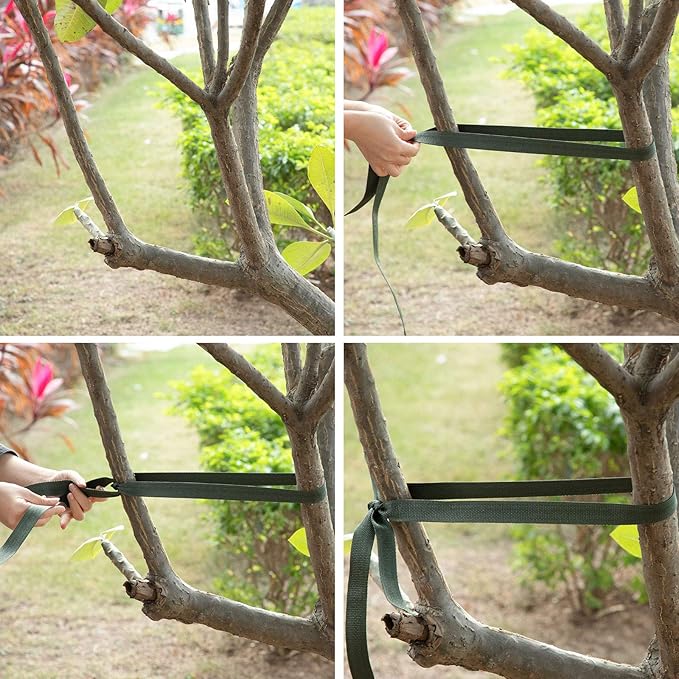 Shappy Tree Tie Strap Garden Webbing Strap Garden Plant Supports Tree Tie Staking and Guying for Outdoor Use, Plant Supports, Grafting, Straightening Supplies(Dark Green,590.55 Feet x 1 Inch)