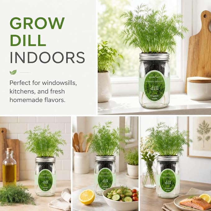 Hydroponic Herb Growing Kit, Self-Watering Mason Jar Herb Garden Starter Kit Indoor, Windowsill Herbs Garden, New Christmas Grden Gift for Mom (Dill)