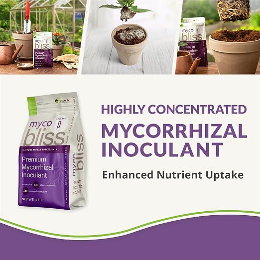Coco Coir Brick (650gms) + Myco Bliss Granular (200 g) - Organic Coco Coir for Plants & Mycorrhizae for Plants - Mycorrhizal Fungi Inoculant - Coconut Coir for Gardening - Garden Soil Potting Soil Mix